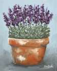 Potted Lavender Art Print