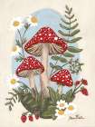Cottage Grove Mushrooms Art Print