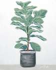 Potted Patience I Art Print