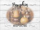 Pumpkin Spice Art Print