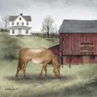 Old Mare Art Print
