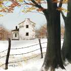 November Snow Art Print