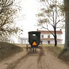 Headin Home II Art Print