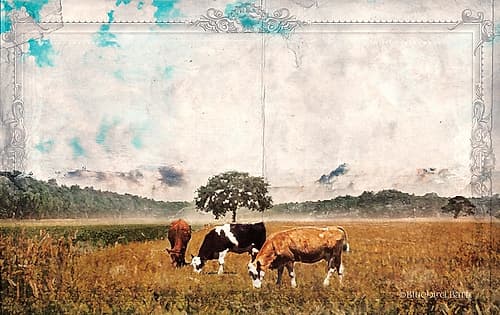 Vintage Grazing Cattle Art Print by Bluebird Barn
