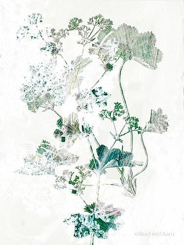 Geranium Botanical Art Print