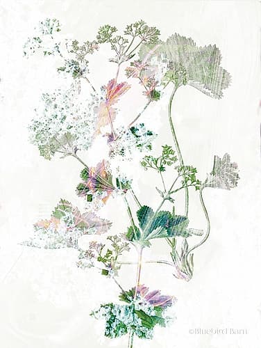 Boho Geranium Botanical Art Print