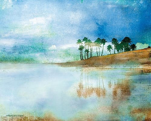 Palm Coast Beach Art Print by Bluebird Barn