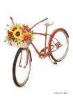 Fall Bike Art Print