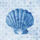 Seashell I Art Print