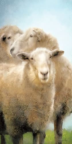 Three Sheep Portrait Art Print by Bluebird Barn