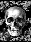 Halloween Skull Art Print