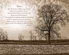 Choices Art Print by Susie Boyer