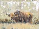 Highland Beauty Art Print