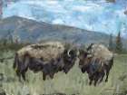 High Country Bison Art Print