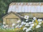 Spring at the Old Barn Art Print