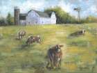 Summer Cows Art Print