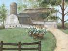Summer Blooms at the Barn Art Print