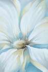 Blue Beauty Art Print