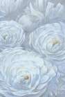 Endless Blooms Art Print