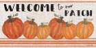 Welcome to Our Pumpkin Patch Art Print