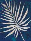 Palm Leaf Navy Art Print