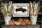 Pumpkin Patch Still Life Art Print
