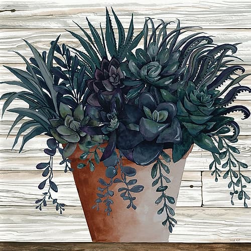 Remarkable Succulents I Art Print