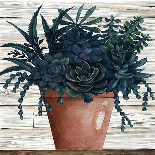 Remarkable Succulents III Art Print