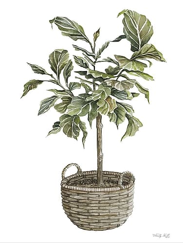 Fig Tree I Art Print