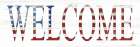 Patriotic Welcome Art Print
