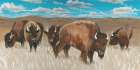 Bison Herd I Art Print