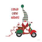 Candy Cane Wishes Gnome Art Print