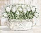 Tulips in White Chipped Pail Art Print