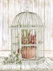 Caged Beauty II Still Life Print