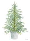 Spruce Tree in Pot Art Print