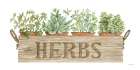 Crate of Herbs Art Print