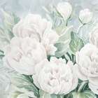 Peaceful Peonies Art Print