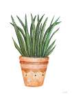 Aztec Pot II Art Print