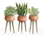 Clay Pot Trio of Plants Art Print