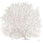 Gray Coral I Art Print