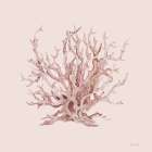 Pink Coral I Art Print