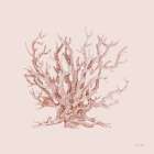 Pink Coral II Art Print