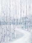 Birch Forest Art Print