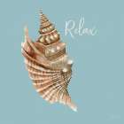 Relax Seashell Art Print