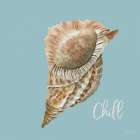 Chill Seashell Art Print