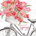 Hello Spring Bicycle Art Print