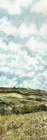 Hillside Landscape I Art Print