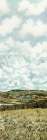Hillside Landscape II Art Print