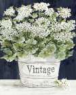 Vintage Blooms I Art Print