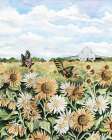 Summer Flower Field Art Print